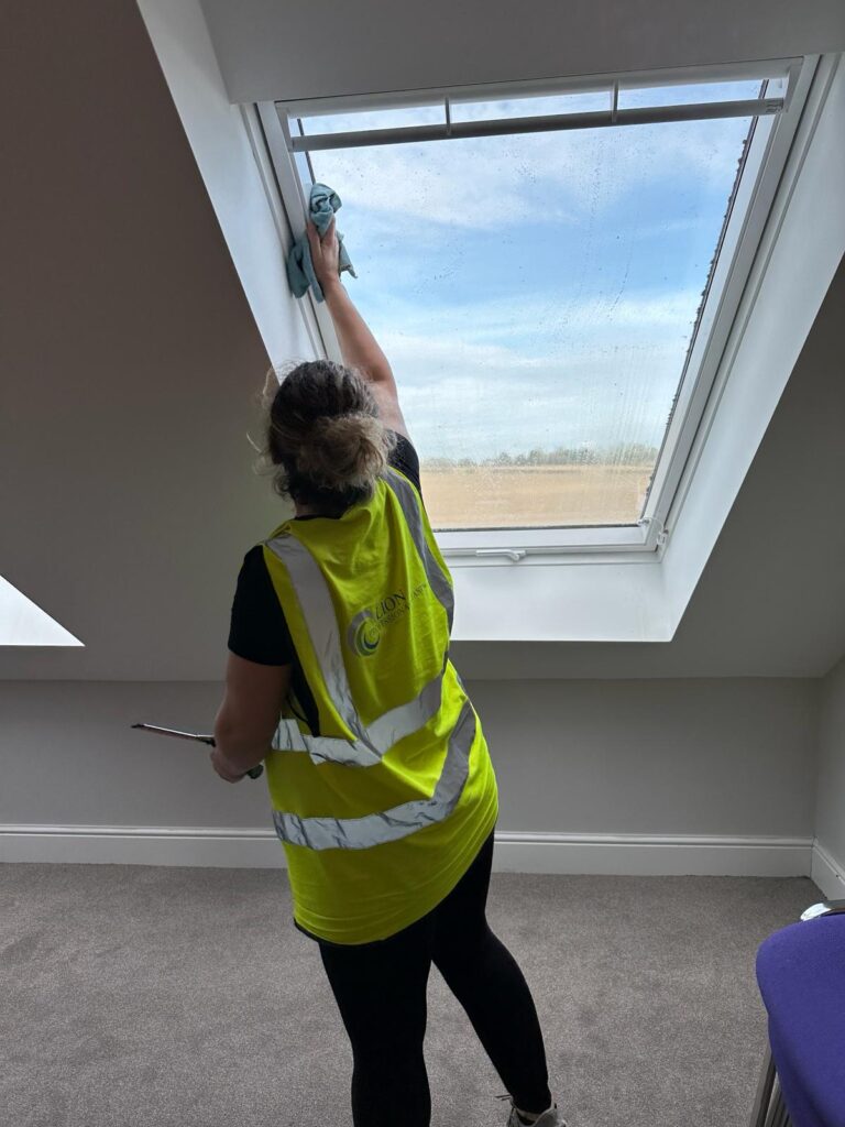 Windows cleaning